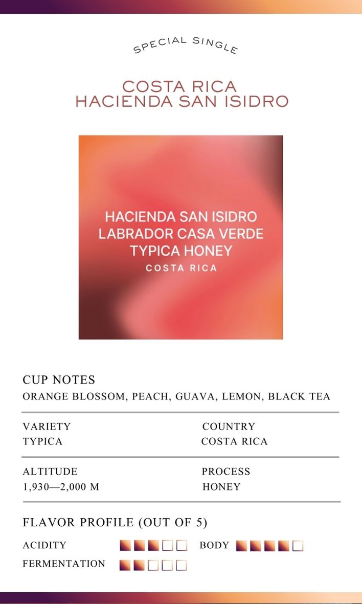 Costa Rica Hacienda San Isidro 80g