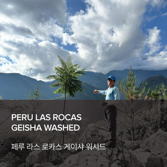 Peru Las Rocas Geisha Washed