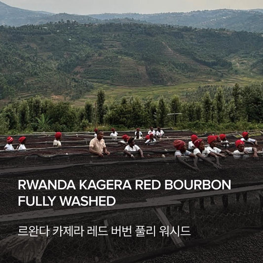 Rwanda Kagera Red Bourbon Fully Washed