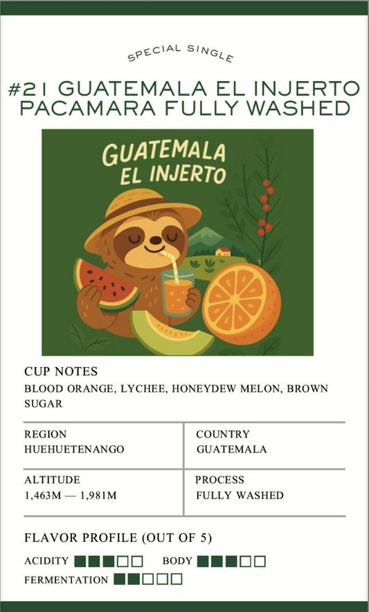#21 Guatemala El Injerto Pacamara Fully Washed