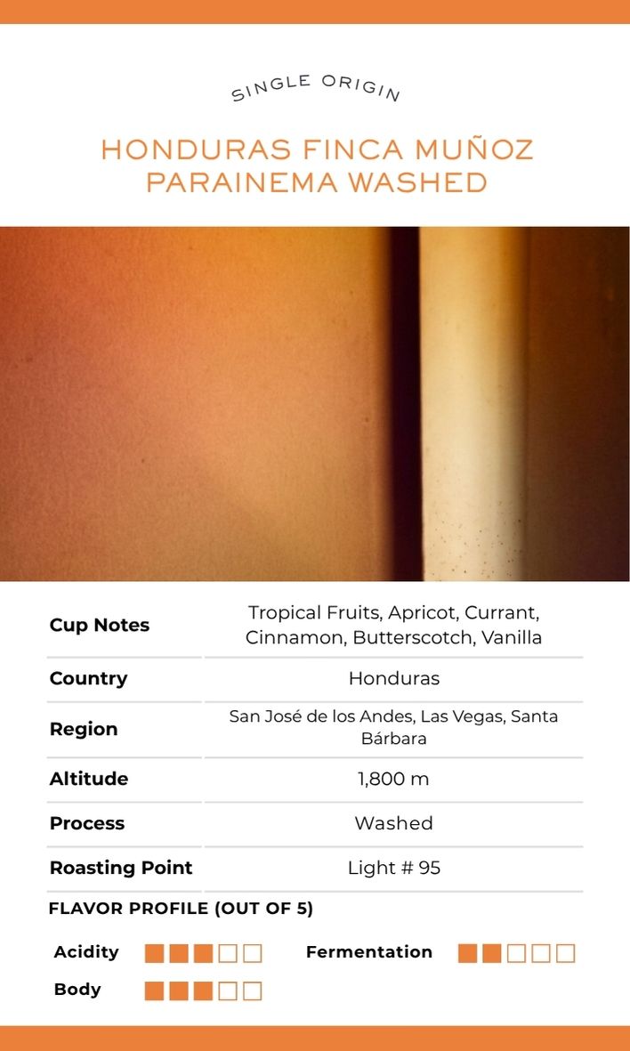 [Sales Ended] T.O.CH COFFEE ( MAY 11 - JUNE 29 )