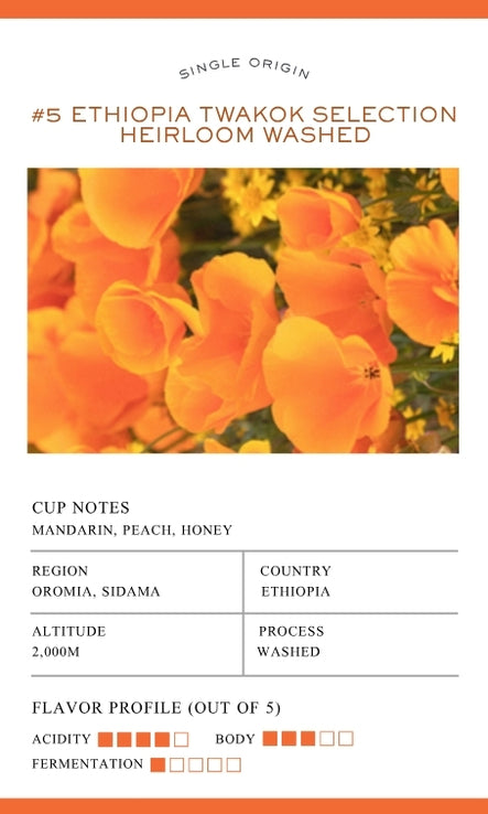 #5 Ethiopia Twakok Selection Heirloom Washed