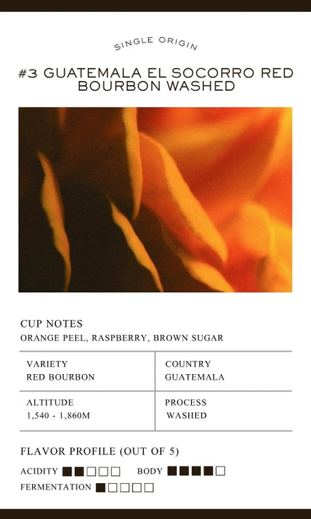 #3 Guatemala El Socorro Red Bourbon Washed