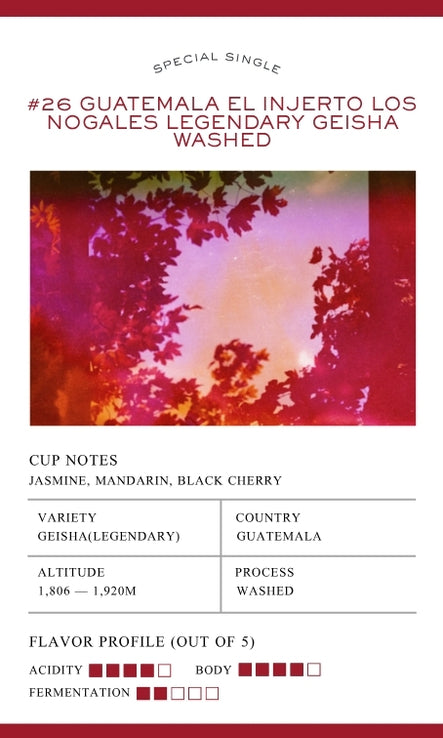 #26 Guatemala El Injerto Los Nogales Legendary Geisha Washed