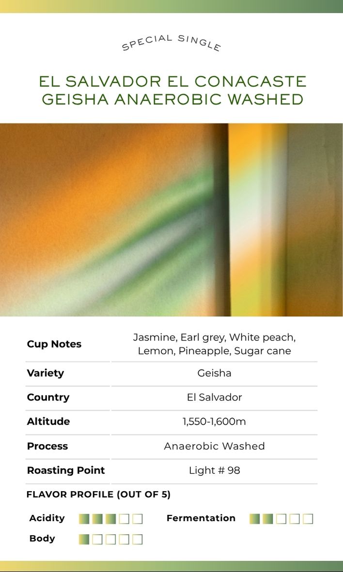 [Sales Ended] T.O.CH COFFEE ( MAY 11 - JUNE 29 )