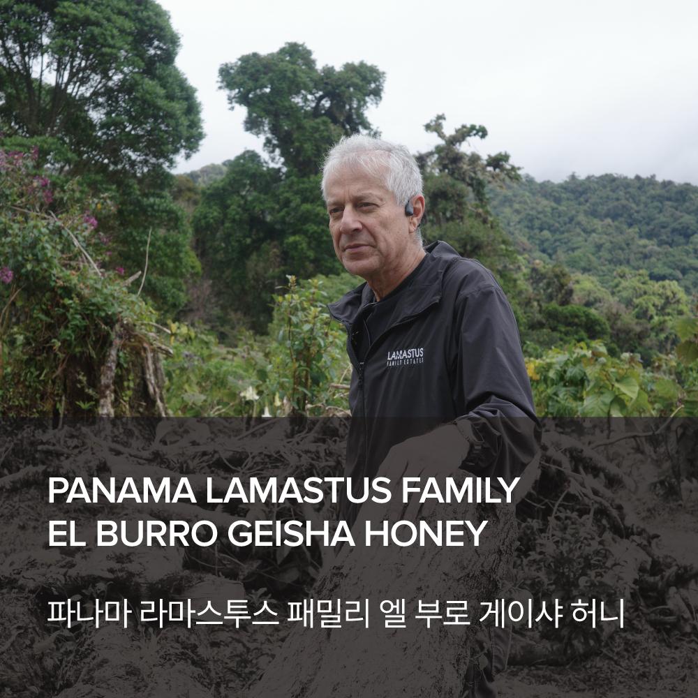 [Sales Ended] BIROSO (July 11 – Jun 8)