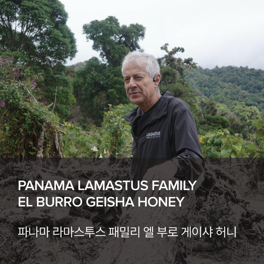Panama Lamastus Family El Burro Geisha Honey