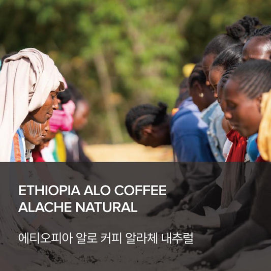 Ethiopia ALO Coffee Alache Natural