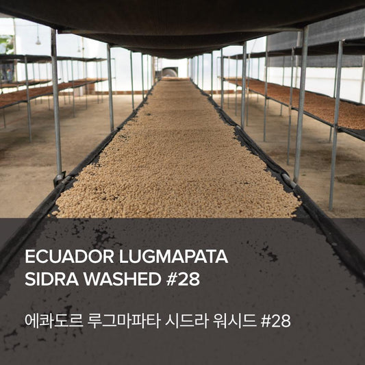 Ecuador Lugmapata Sidra Washed #28