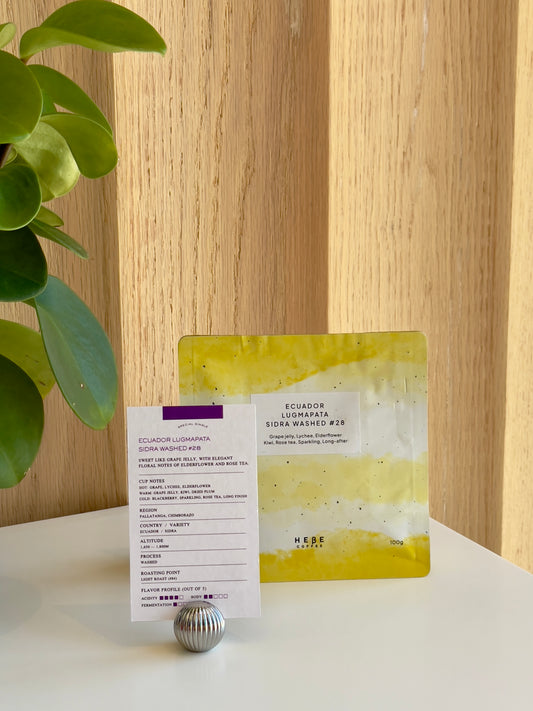 Ecuador Lugmapata Sidra Washed #28